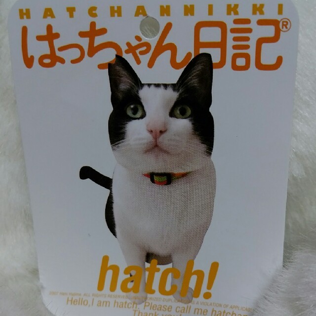 猫のはっちゃん ぬいぐるみの通販 by Mary's shop|ラクマ 猫のはっちゃん ぬいぐるみの通販 by Mary's shop|ラクマ