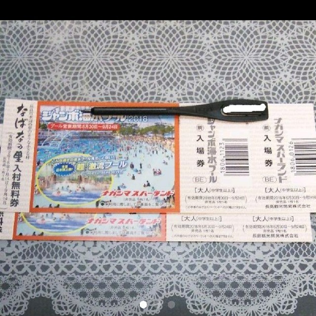 ナガシマジャンボ海水プール&ナガシマスパーランド入場券大人2枚 チケットの施設利用券(プール)の商品写真