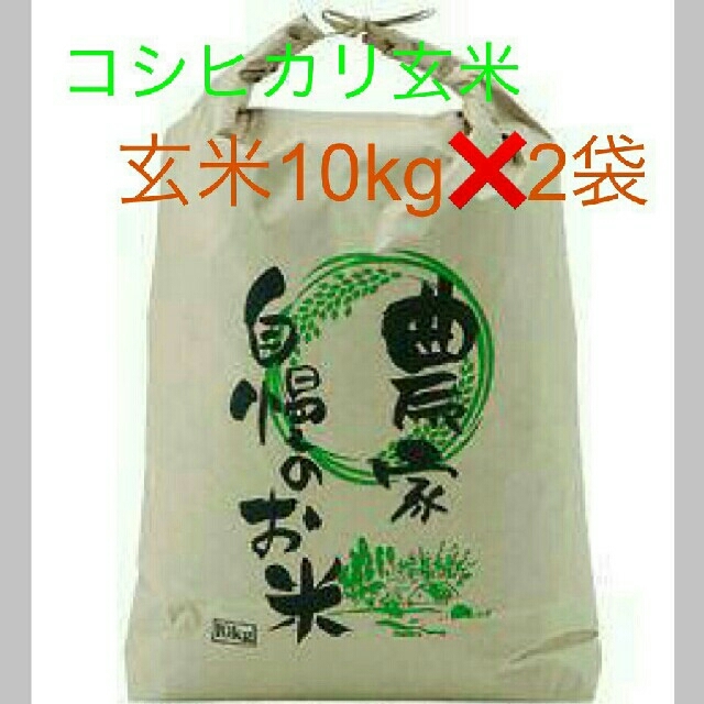 29年滋賀のコシヒカリ玄米20kg【10kg✖2袋】お米送込 - 米/穀物