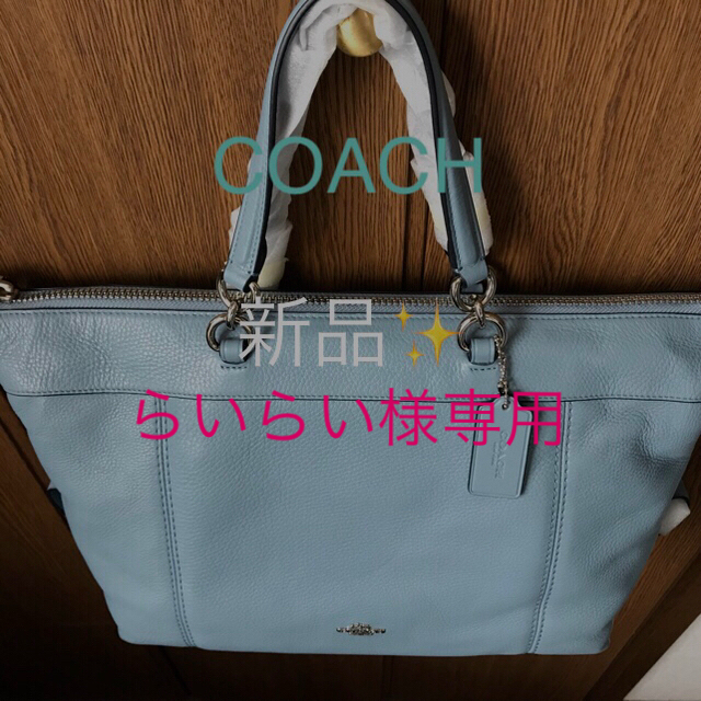 COACH(コーチ)のコーチ 2wayバッグ 新品未使用✨ レディースのバッグ(ハンドバッグ)の商品写真
