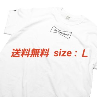 アンディフィーテッド(UNDEFEATED)のUNDEFEATEDxWasted Youth by verdy 
Tシャツ(Tシャツ/カットソー(半袖/袖なし))