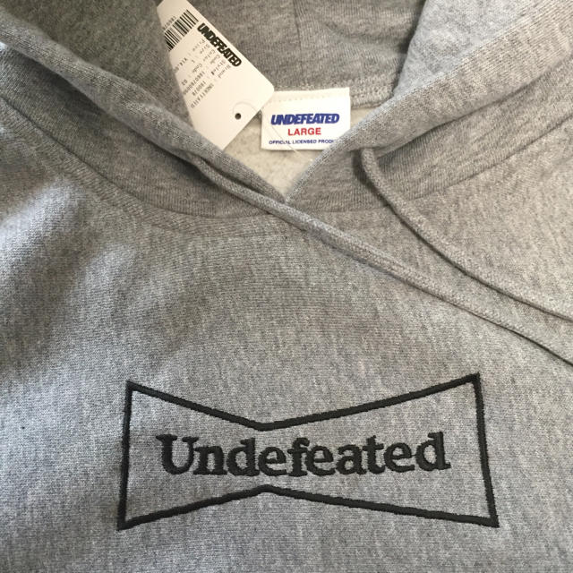 UNDEFEATED(アンディフィーテッド)の送料込 L UNDEFEATED WASTED YOUTH PULLOVER メンズのトップス(パーカー)の商品写真