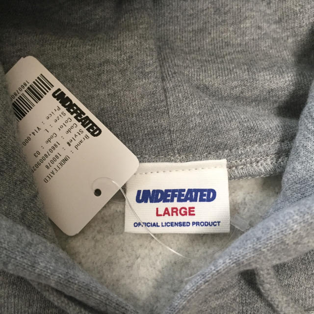 UNDEFEATED(アンディフィーテッド)の送料込 L UNDEFEATED WASTED YOUTH PULLOVER メンズのトップス(パーカー)の商品写真