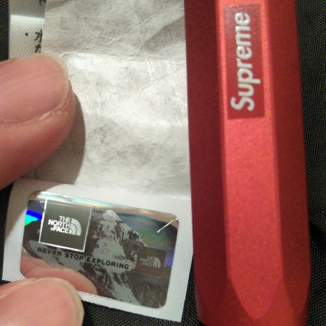 Supreme(シュプリーム)のSupreme Metallic Mountain Jacket ローズゴールド メンズのジャケット/アウター(マウンテンパーカー)の商品写真