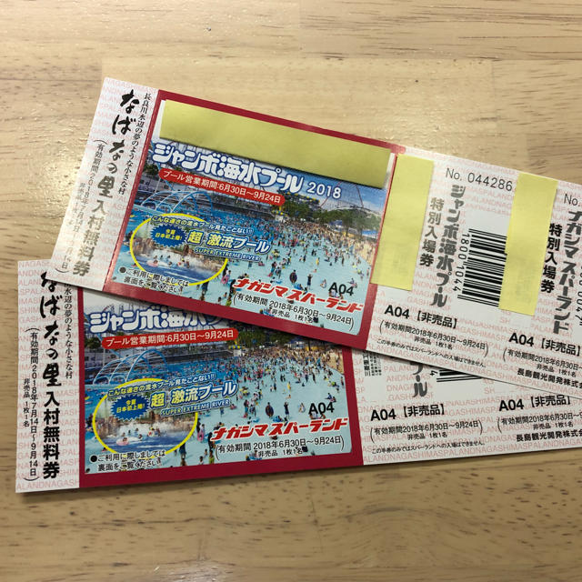 ナガシマスパーランド ジャンボ海水プール チケット www