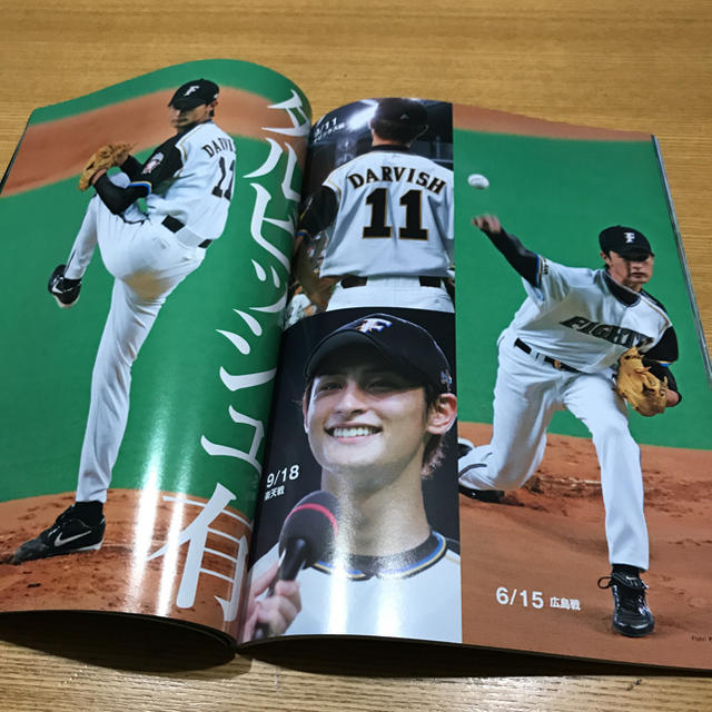 北海道日本ハムファイターズ(ホッカイドウニホンハムファイターズ)の貴重！ファイターズ2005 オフィシャルグラフィックス スポーツ/アウトドアの野球(記念品/関連グッズ)の商品写真