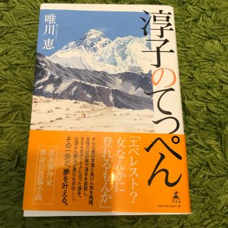 淳子のてっぺん(文学/小説)