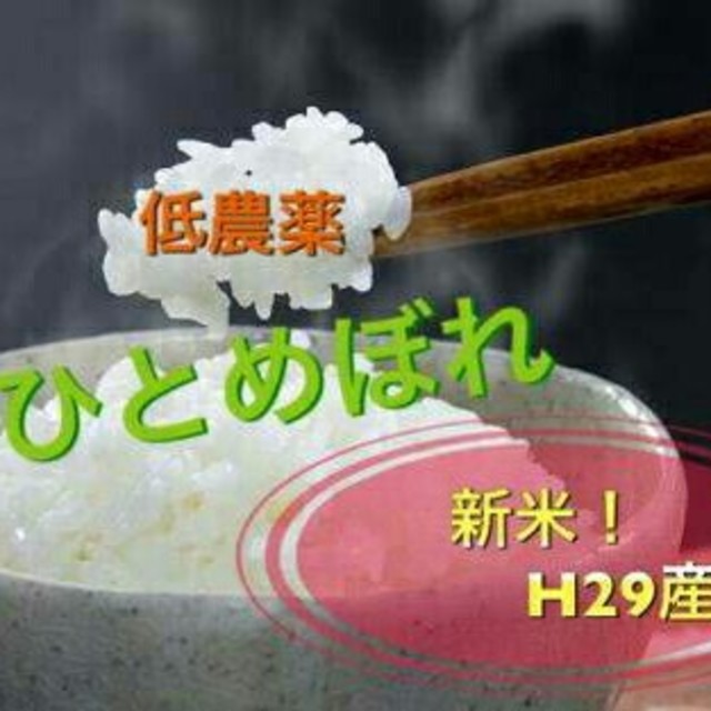 一等米ひとめぼれ100kg!! - www.watmahathat.com