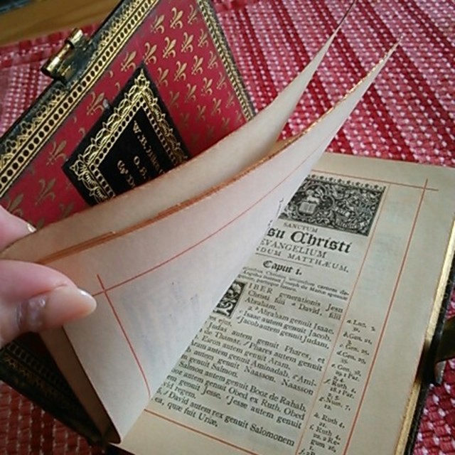 アイルランドで購入  ラテン語 聖書 古書