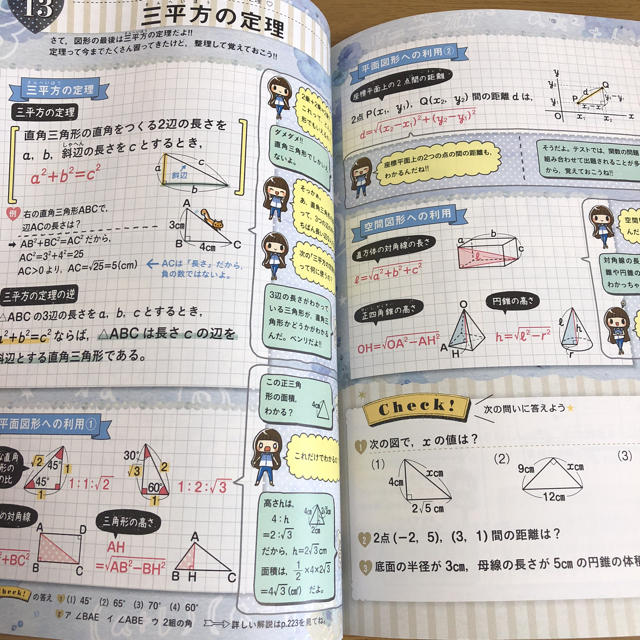 CECIL McBEE(セシルマクビー)のセシルマクビー 高校受験 参考書  エンタメ/ホビーの本(語学/参考書)の商品写真