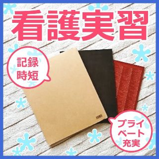 🙌記録時短⏰看護実習★お役立ち資料（看護過程）(健康/医学)