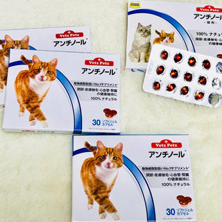 アンチノール 猫用の通販 by ラナン's shop｜ラクマ
