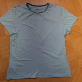 パタゴニア(patagonia)のパタゴニアTシャツ(Tシャツ(半袖/袖なし))