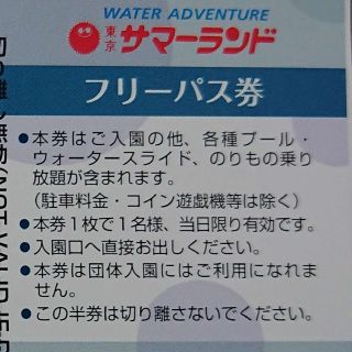ちこり様専用☆サマーランドフリーパス2枚(遊園地/テーマパーク)
