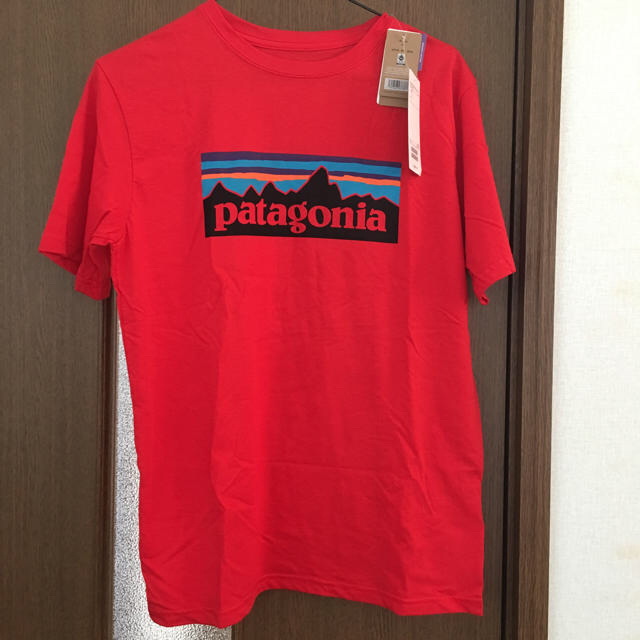 patagonia(パタゴニア)のpatagonia Tシャツ レディースのトップス(Tシャツ(半袖/袖なし))の商品写真