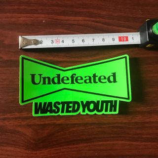 ステッカー付 UNDEFEATED Wasted Youth パーカー Lサイズ