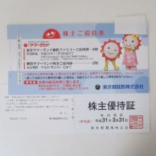 サマーランド　株主優待券(遊園地/テーマパーク)