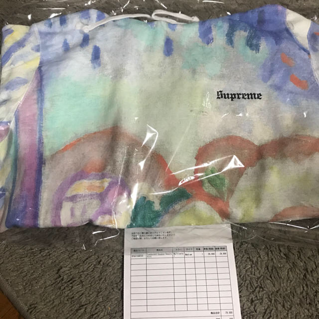 Supreme(シュプリーム)のsupreme Landscape Hooded Sweatshirt  M メンズのトップス(パーカー)の商品写真