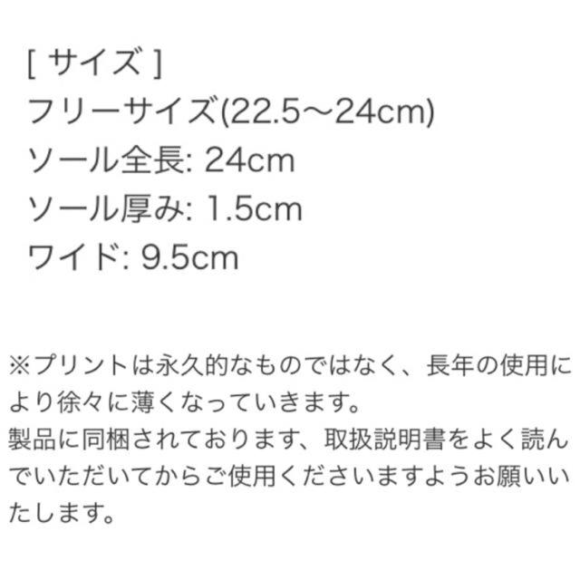 ALEXIA STAM(アリシアスタン)のアリシアスタン 新品 未使用 ビーチサンダル レディースの靴/シューズ(ビーチサンダル)の商品写真