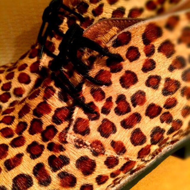 Ciaopanic(チャオパニック)の【本日値下げ】GAIMO LEOPARD レディースの靴/シューズ(ブーツ)の商品写真