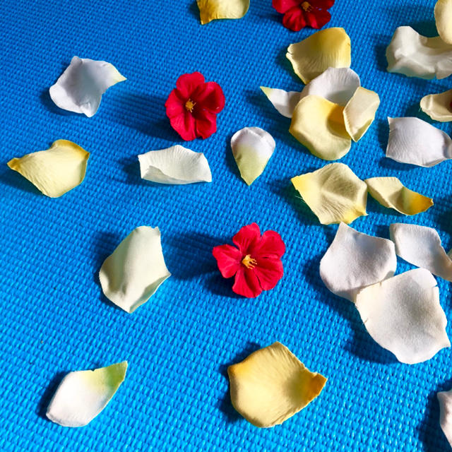 花びら詰め合わせ ハンドメイドの素材/材料(その他)の商品写真