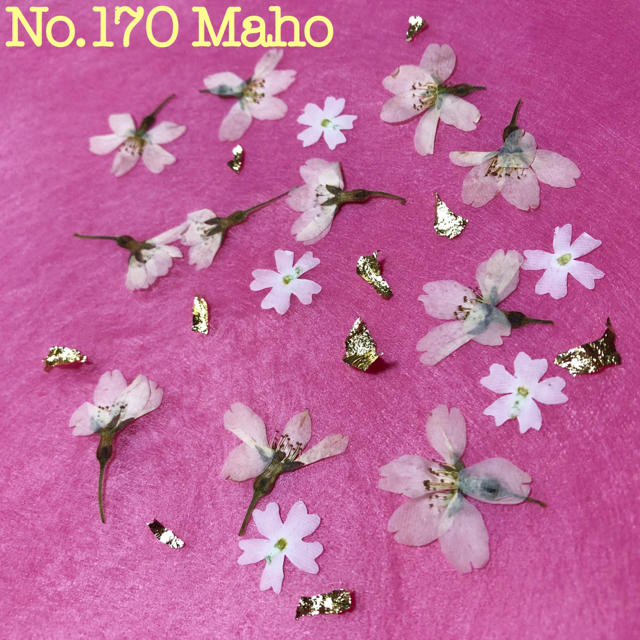 押し花素材 桜 バーベナ 金箔 の通販 By Satoyama No Shiki ラクマ 押し花素材 桜 バーベナ 金箔 の通販 By Satoyama No Shiki ラクマ