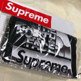 シュプリーム(Supreme)のSupreme × THE NORTH FACE  Metallic Logo (Tシャツ/カットソー(半袖/袖なし))