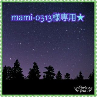 mami-0313様専用★(ひざ丈ワンピース)