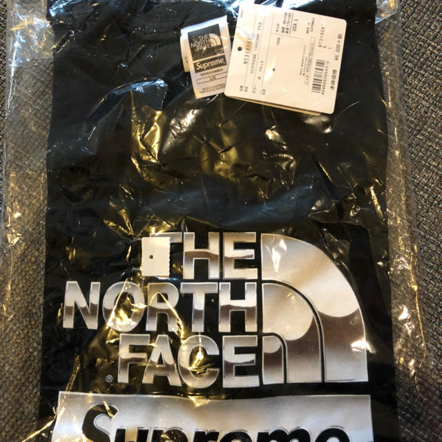 Supreme The North Face Metallic Logo Tee