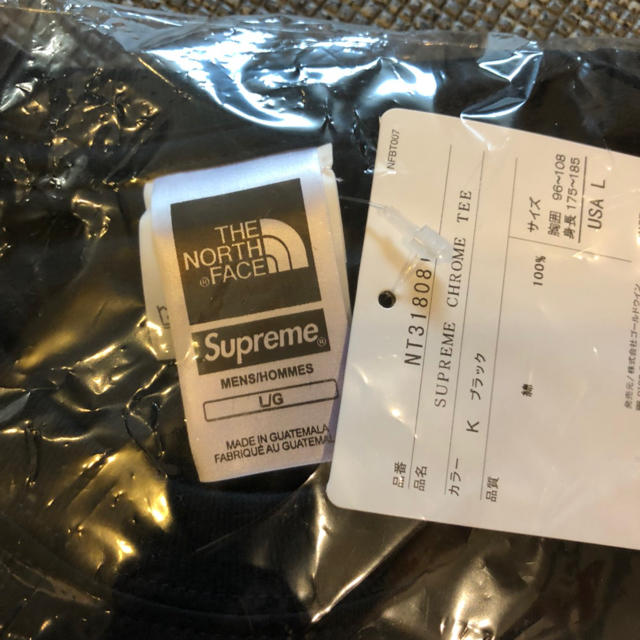 Supreme The North Face Metallic Logo Tee