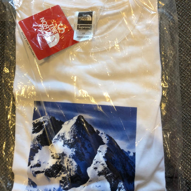 トップスSupreme The North Face Metallic Logo Tee