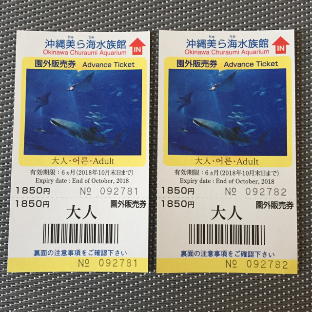 美ら海水族館チケット チケットの施設利用券(水族館)の商品写真