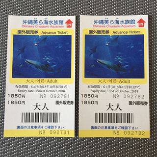 美ら海水族館チケット(水族館)