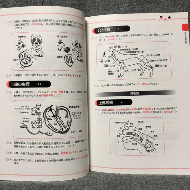 【美品】動物看護師 検定 参考書 楽しく学べる動物看護