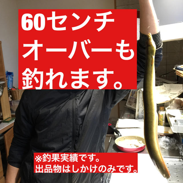 うなぎ釣り 仕掛け 置き針 うなぎ仕掛け 3本 食品/飲料/酒の食品(魚介)の商品写真