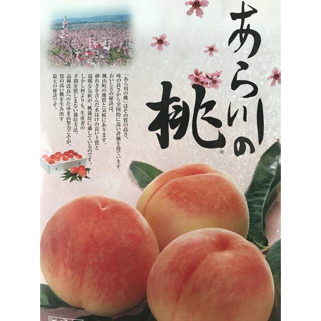 桃 あら川の桃®︎  16玉 食品/飲料/酒の食品(フルーツ)の商品写真