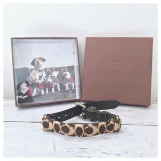 コーチ(COACH)のともさま専用☆コーチ  シグネチャー ブラウン 茶 犬 レザー 未使用 正規品(犬)