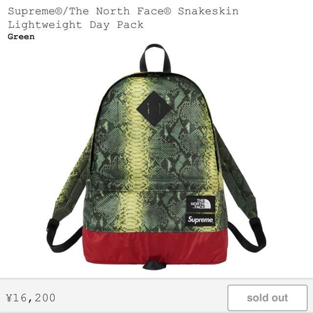 Supreme(シュプリーム)のSupreme The north Face Day Pack オンライン購入 メンズのバッグ(バッグパック/リュック)の商品写真