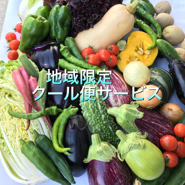 減農薬 野菜セット 80 食品/飲料/酒の食品(野菜)の商品写真