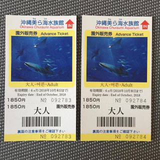 美ら海水族館チケット(水族館)