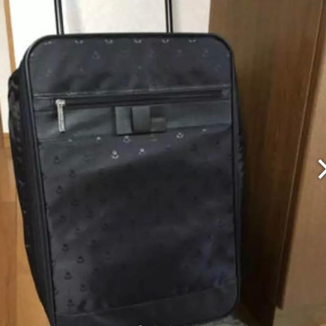 Private Label 折りたたみキャリーケースの通販 By Rorocomo S Shop プライベートレーベルならラクマ Private Label 折りたたみキャリーケースの通販 By Rorocomo S Shop プライベートレーベルならラクマ