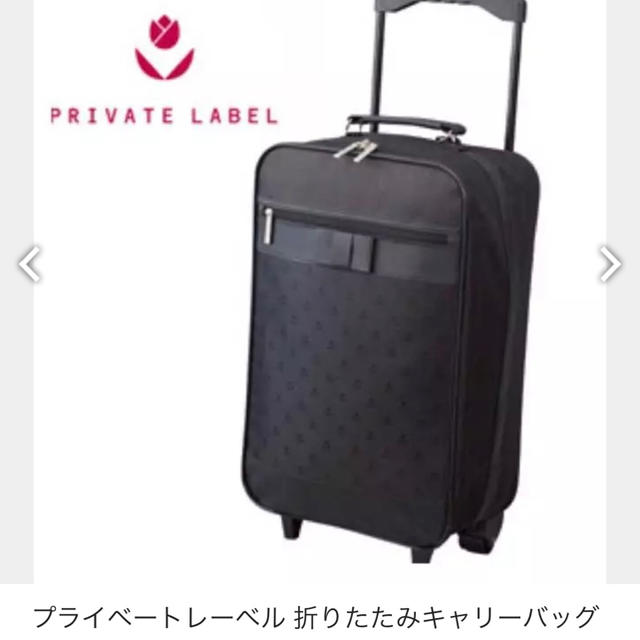 Private Label 折りたたみキャリーケースの通販 By Rorocomo S Shop プライベートレーベルならラクマ