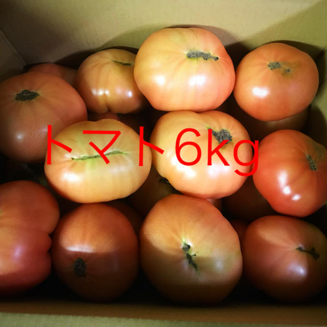 トマト規格外6キロ 食品/飲料/酒の食品(野菜)の商品写真