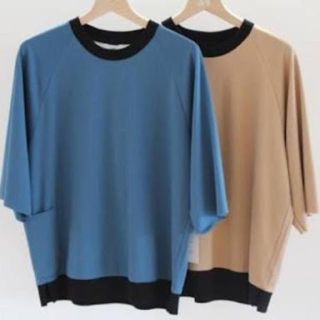 サンシー(SUNSEA)のsunsea 17ss レイヤードカットソー(Tシャツ/カットソー(半袖/袖なし))