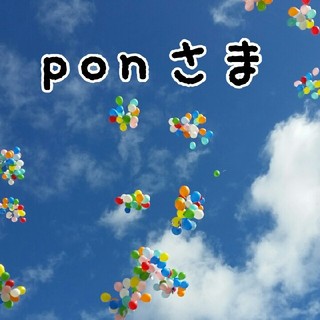 pon様専用(その他)