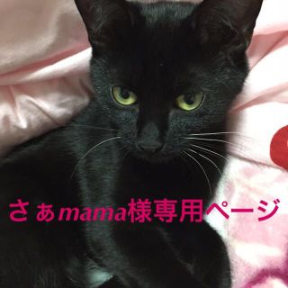 さぁmama様専用ページ(オーダーメイド)