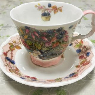 ロイヤルドルトン(Royal Doulton)のROYAL DOULTON ティーカップ＆ソーサー(グラス/カップ)