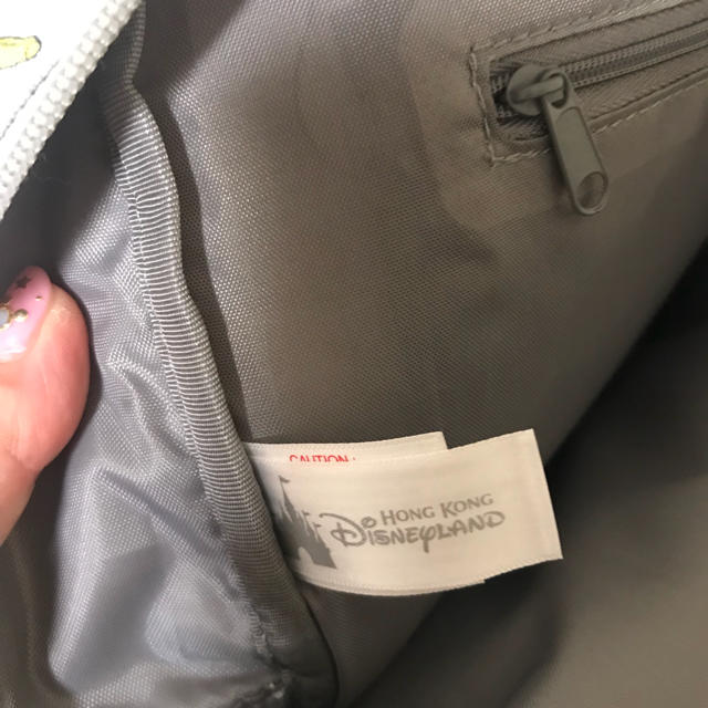 Disney(ディズニー)の香港ディズニーランド購入リュックサック レディースのバッグ(リュック/バックパック)の商品写真