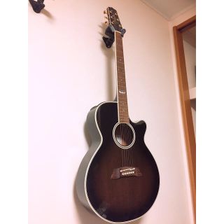 【ヤケクソ価格】Takamine DSP-110(アコースティックギター)