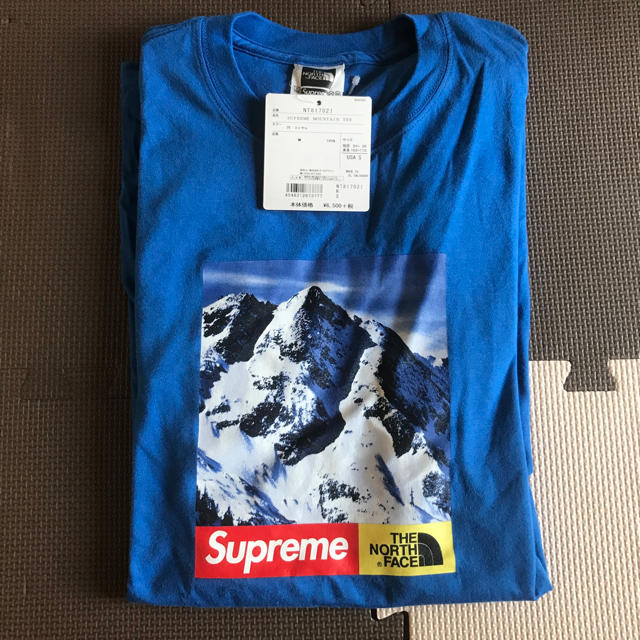 Supreme The North Face Mountain Tee 青 S Tシャツ/カットソー(半袖/袖なし)